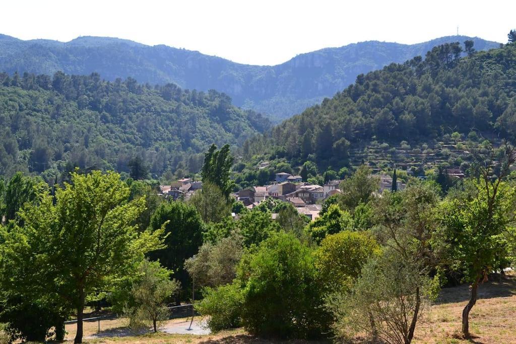 Cosy Provencal Apartment Belgentier Екстериор снимка
