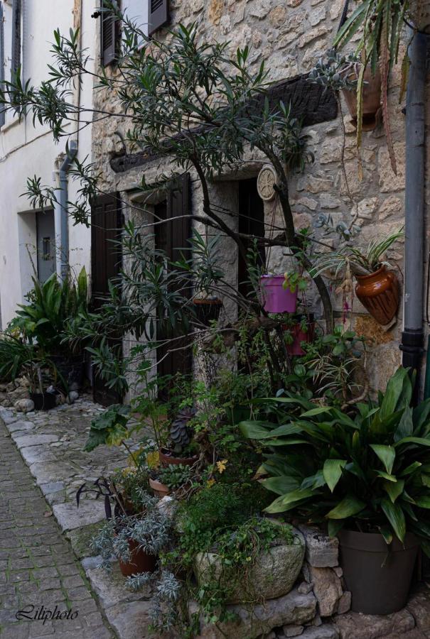 Cosy Provencal Apartment Belgentier Екстериор снимка
