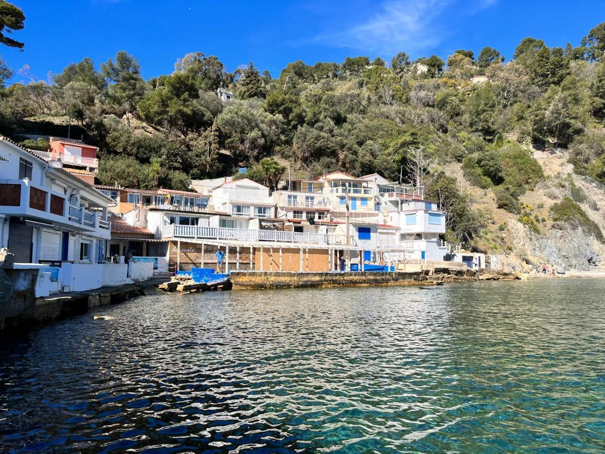 Cosy Provencal Apartment Belgentier Екстериор снимка