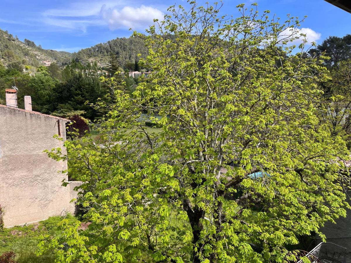 Cosy Provencal Apartment Belgentier Екстериор снимка